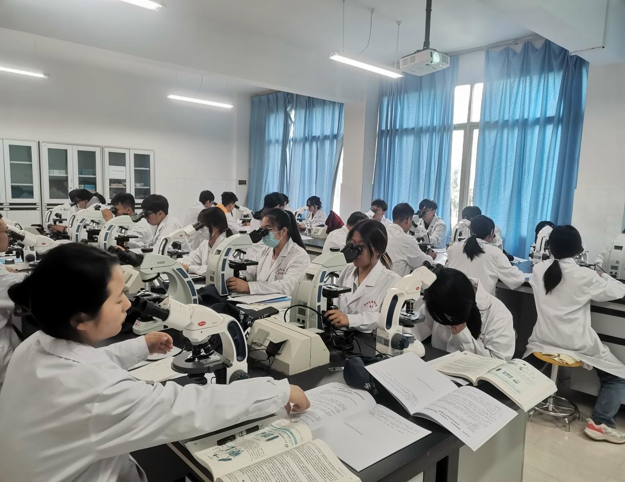 图片1.png 图片1.png