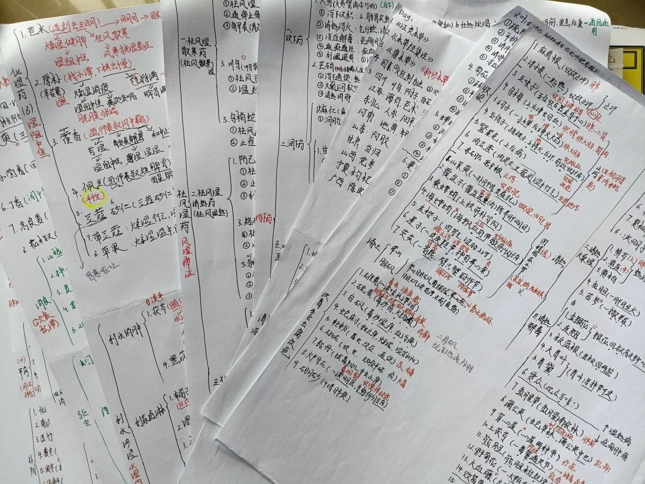 “偏要考上!”她做到了‼️ 第 12 张 “偏要考上!”她做到了‼️ 第 12 张