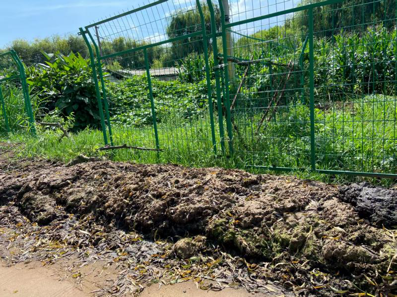 暑期社会实践 | 从课堂到田间地头，实践队用脚步踩出循坏经济的青春印记 第 3 张