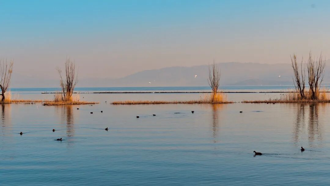 这个学姐很哇塞🤩! 第 15 张 这个学姐很哇塞🤩! 第 15 张